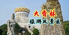 大鸡巴操～骚货～中国浙江-绍兴大香林旅游风景区